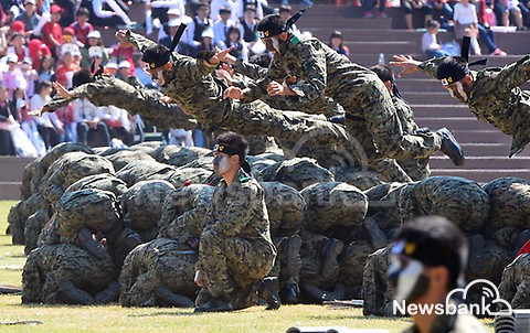 image_1